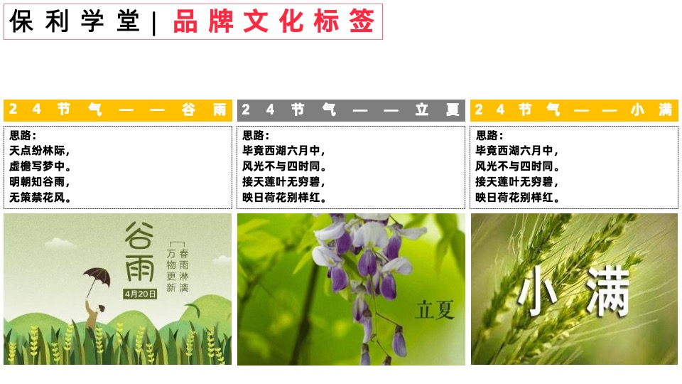 保利品牌MCN “视频+”计划网推方案