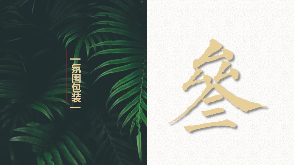 地产项目母亲节旗袍主题暖场活动策划案