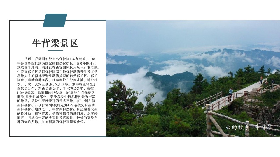 地产项目5月月度系列（美好生活 与时共享主题）活动策划方案