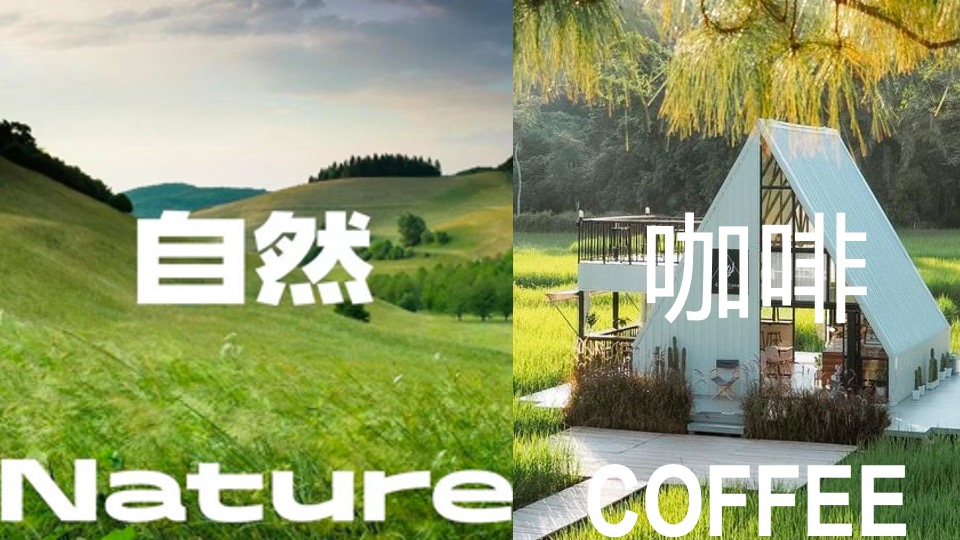 绿野咖啡生活节主题活动思路方案