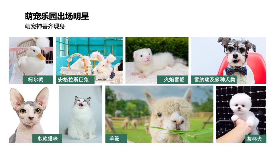 地产项目5月周末暖场系列（缤纷五月 春日玩乐节主题）活动策划方案