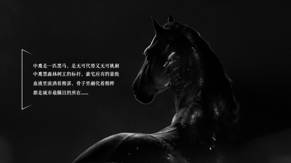 中鹰·黑森林推广策略提报 #网推# #顶豪# #性价比#