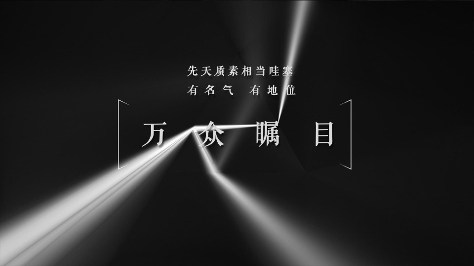 中鹰·黑森林推广策略提报 #网推# #顶豪# #性价比#