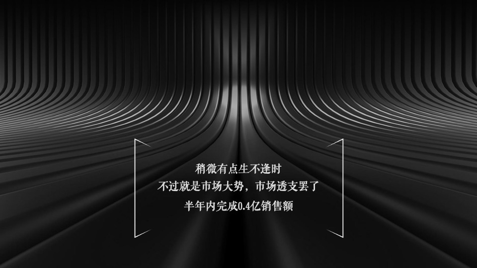 中鹰·黑森林推广策略提报 #网推# #顶豪# #性价比#