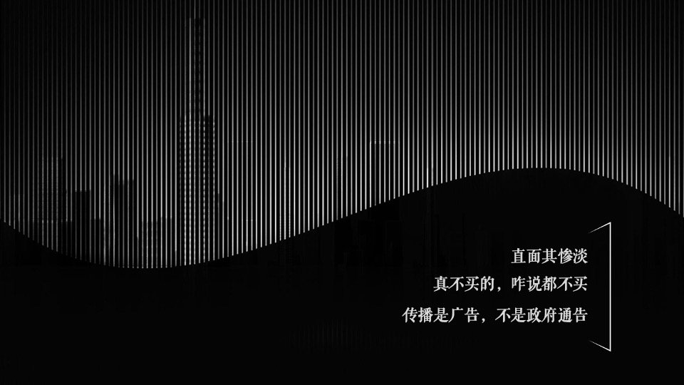 中鹰·黑森林推广策略提报 #网推# #顶豪# #性价比#