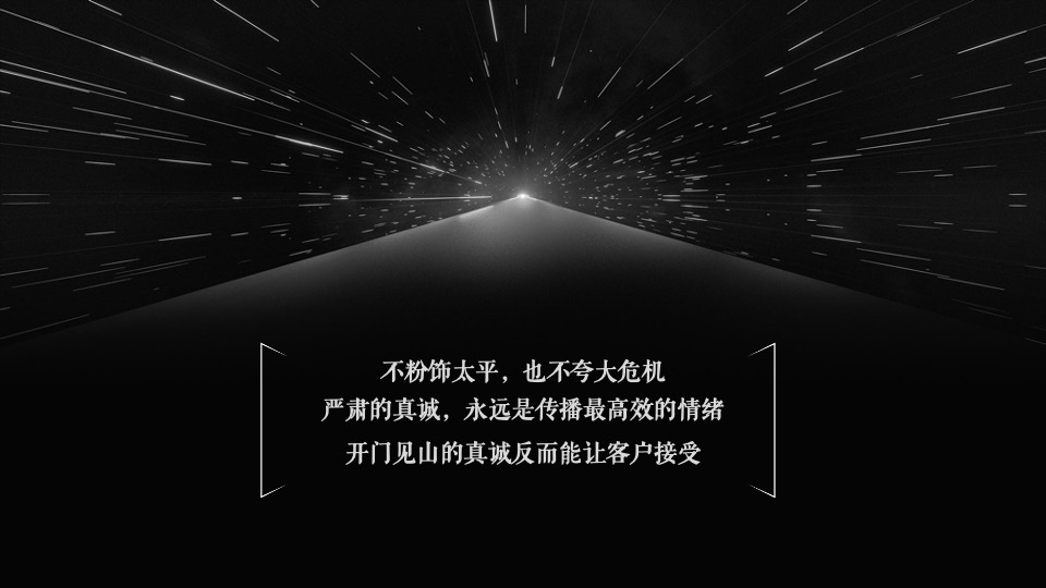 中鹰·黑森林推广策略提报 #网推# #顶豪# #性价比#