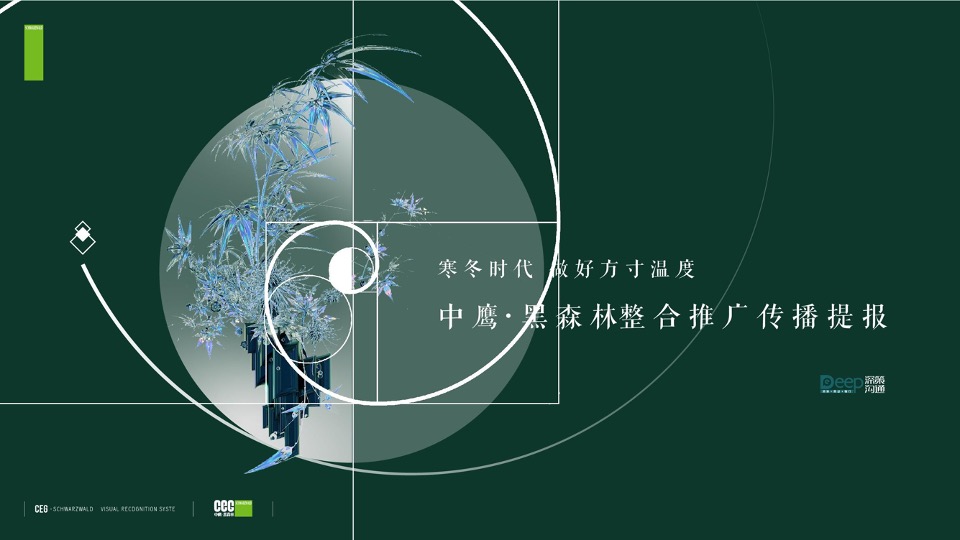 中鹰·黑森林推广策略提报 #网推# #顶豪# #性价比#