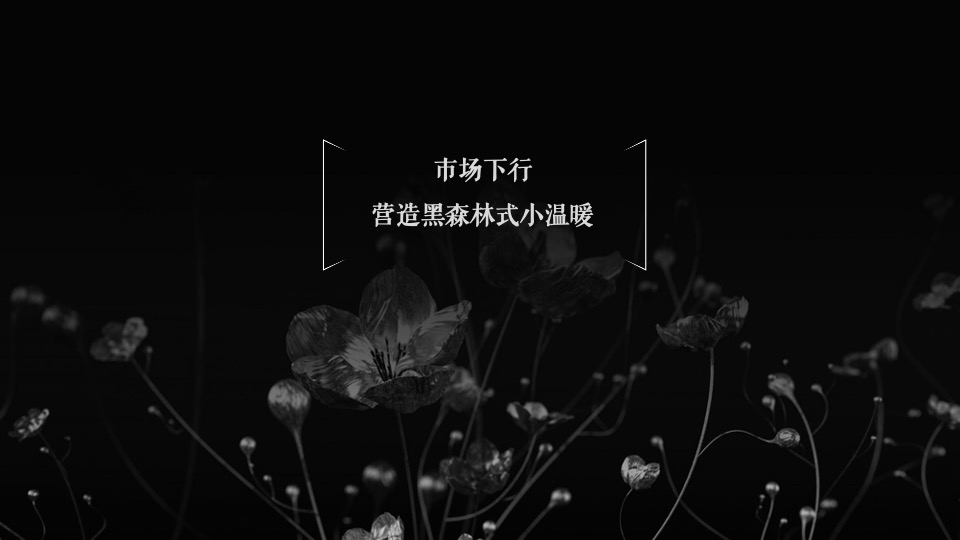 中鹰·黑森林推广策略提报 #网推# #顶豪# #性价比#