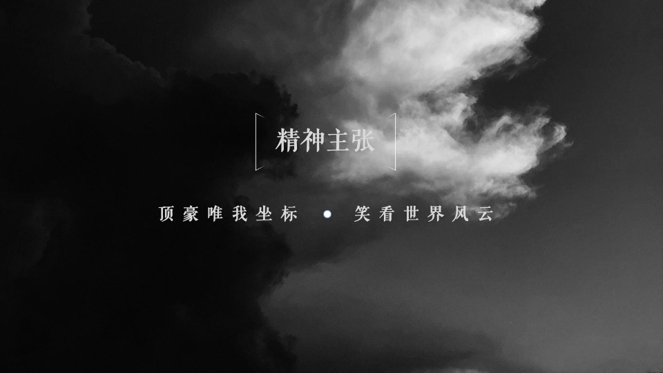 中鹰·黑森林推广策略提报 #网推# #顶豪# #性价比#