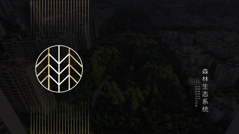 中鹰·黑森林推广策略提报 #网推# #顶豪# #性价比#