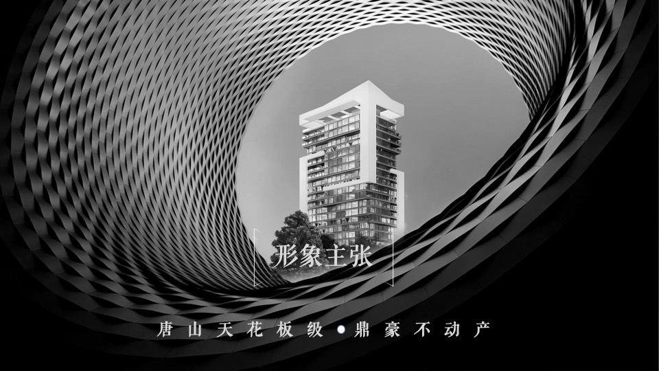 中鹰·黑森林推广策略提报 #网推# #顶豪# #性价比#