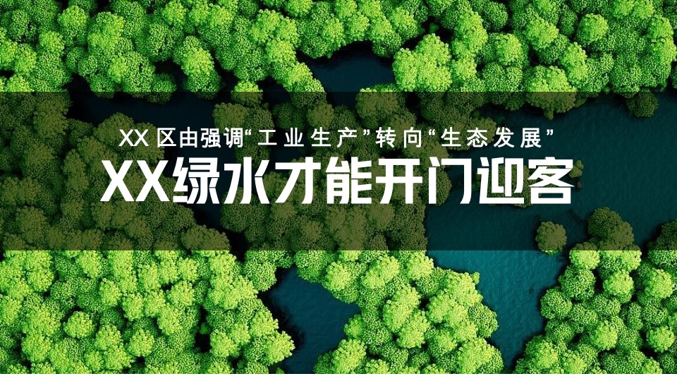 首届萝卜蔬菜文化节