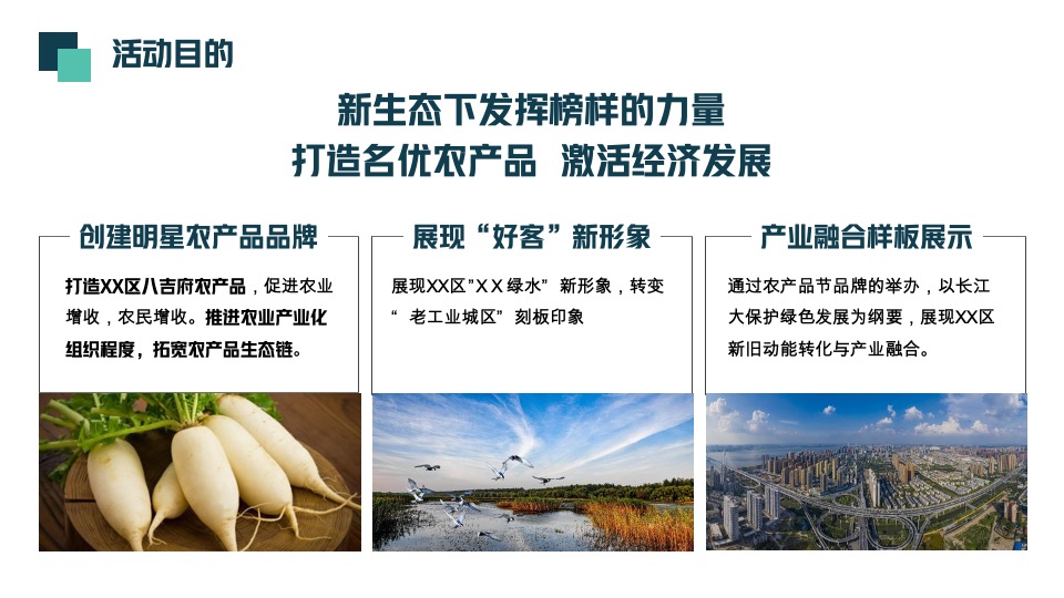 首届萝卜蔬菜文化节