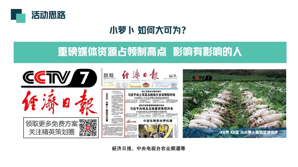 首届萝卜蔬菜文化节