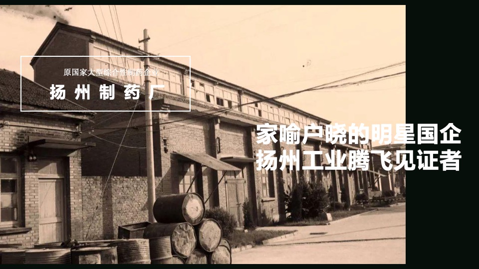 广旅·园著推广策略提报 #扬州# #新城区#