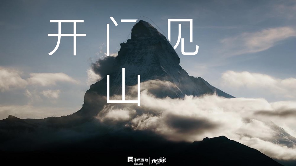 华润品牌年度推广策略提报