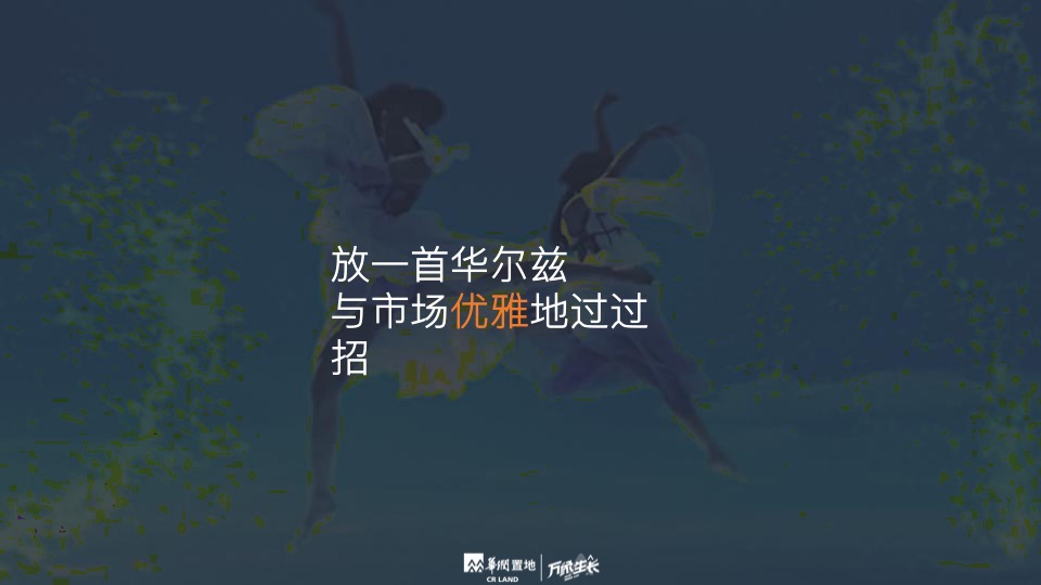 华润品牌年度推广策略提报