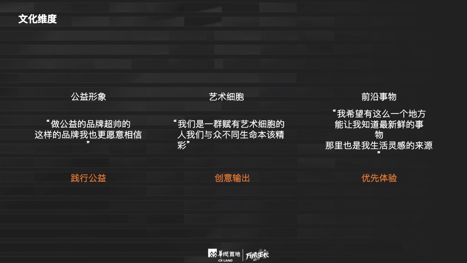 华润品牌年度推广策略提报