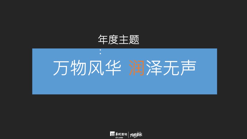 华润品牌年度推广策略提报