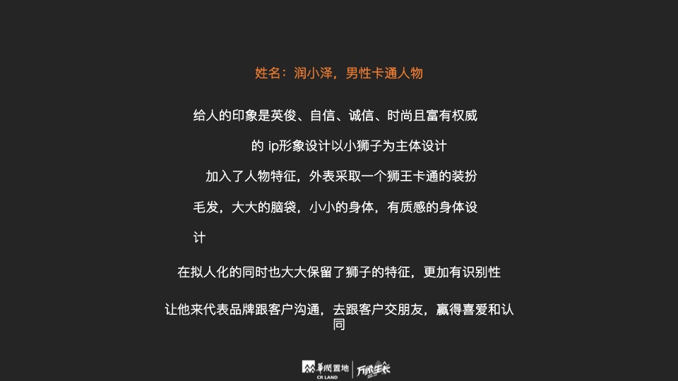 华润品牌年度推广策略提报