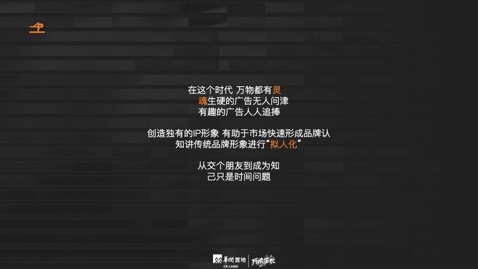 华润品牌年度推广策略提报