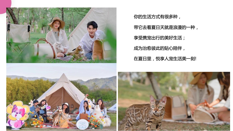 商业广场夏日首届趣玩萌宠露营生活节活动策划方案