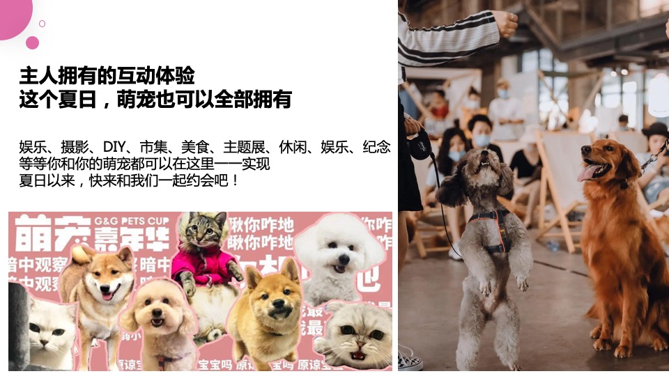 商业广场夏日首届趣玩萌宠露营生活节活动策划方案