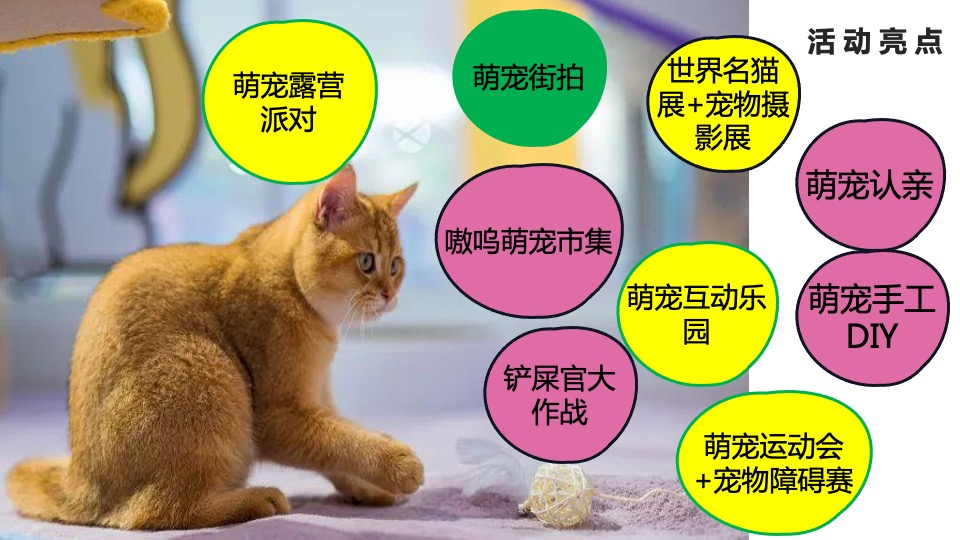 商业广场夏日首届趣玩萌宠露营生活节活动策划方案