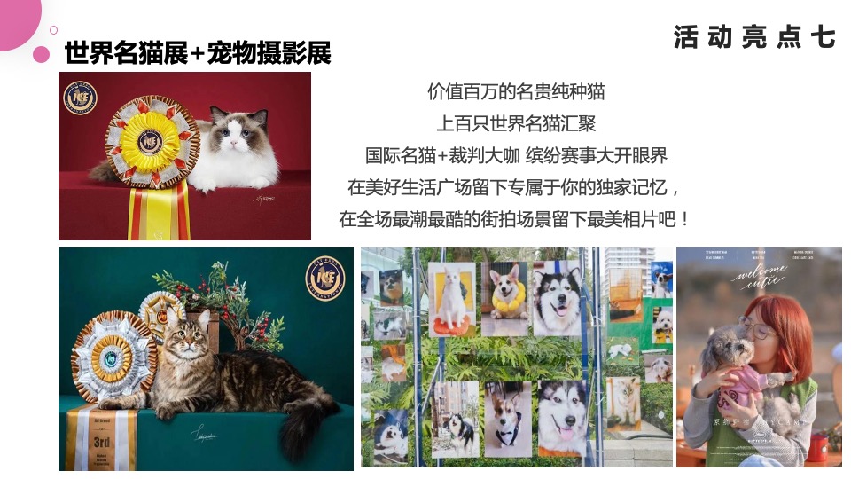 商业广场夏日首届趣玩萌宠露营生活节活动策划方案