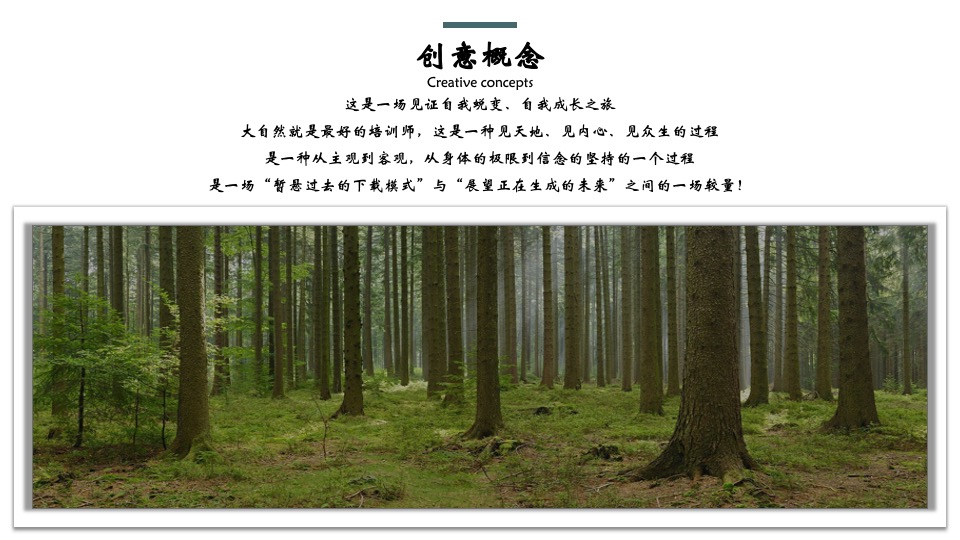 企业夏日露营团建（率性而为主题）活动策划方案