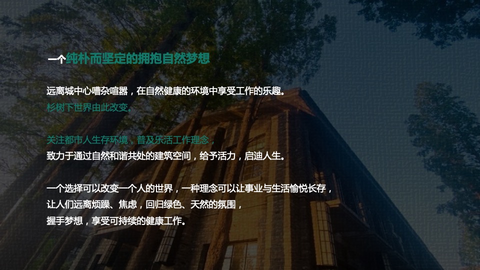 文旅小镇端午节系列（端午临中夏 时清日复长主题）活动策划方案