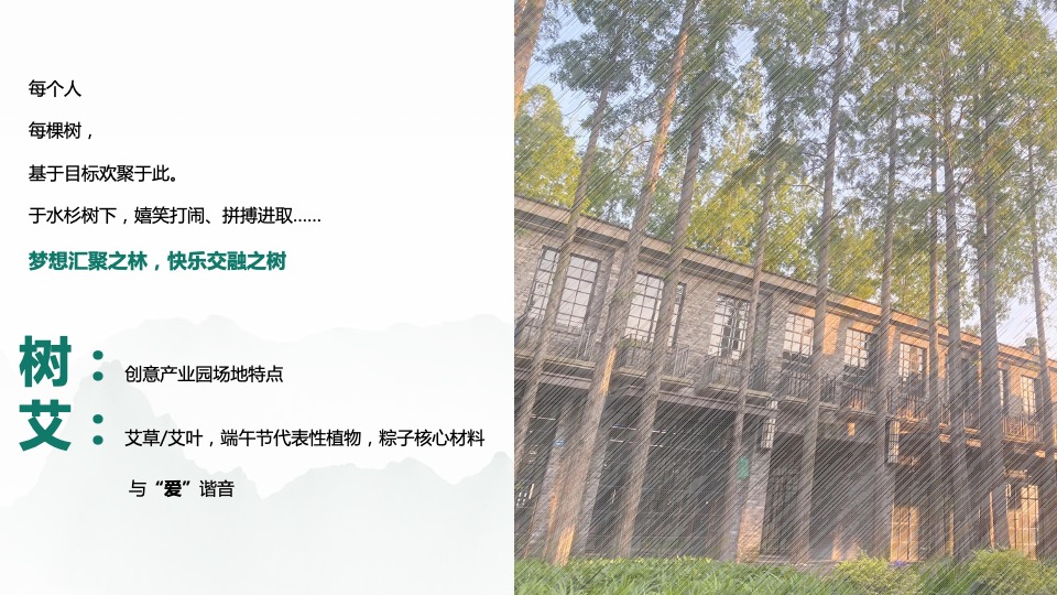 文旅小镇端午节系列（端午临中夏 时清日复长主题）活动策划方案