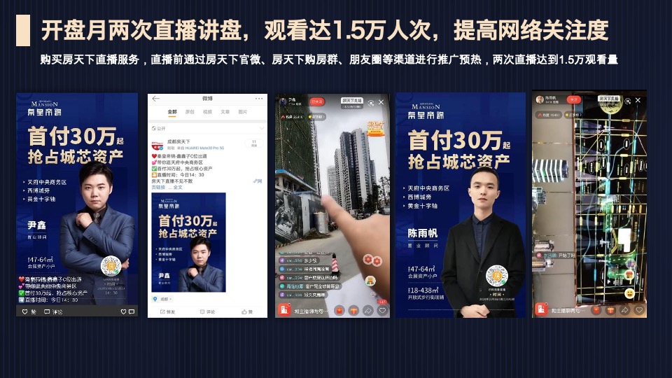 成都秦皇帝锦年度营销报告#公寓#商业#住宅#车位#