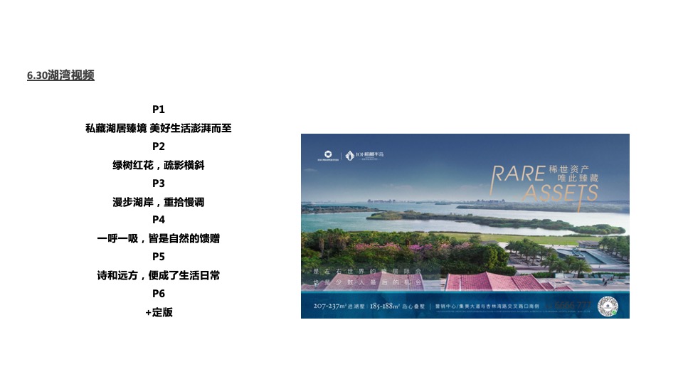 棕榈半岛7月推广执行策划案#湖居##别墅##圈层#