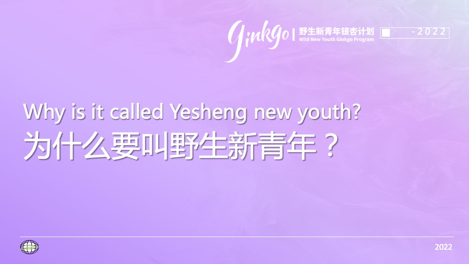 城市野生新青年音乐节活动策划方案