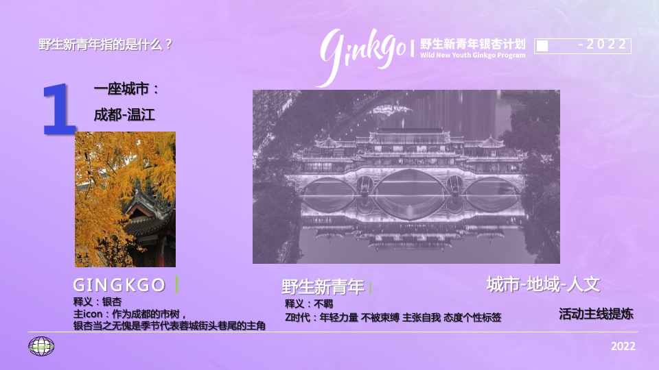 城市野生新青年音乐节活动策划方案