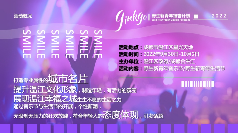 城市野生新青年音乐节活动策划方案