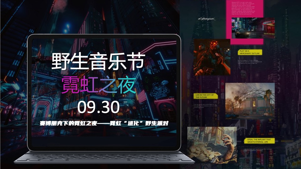 城市野生新青年音乐节活动策划方案