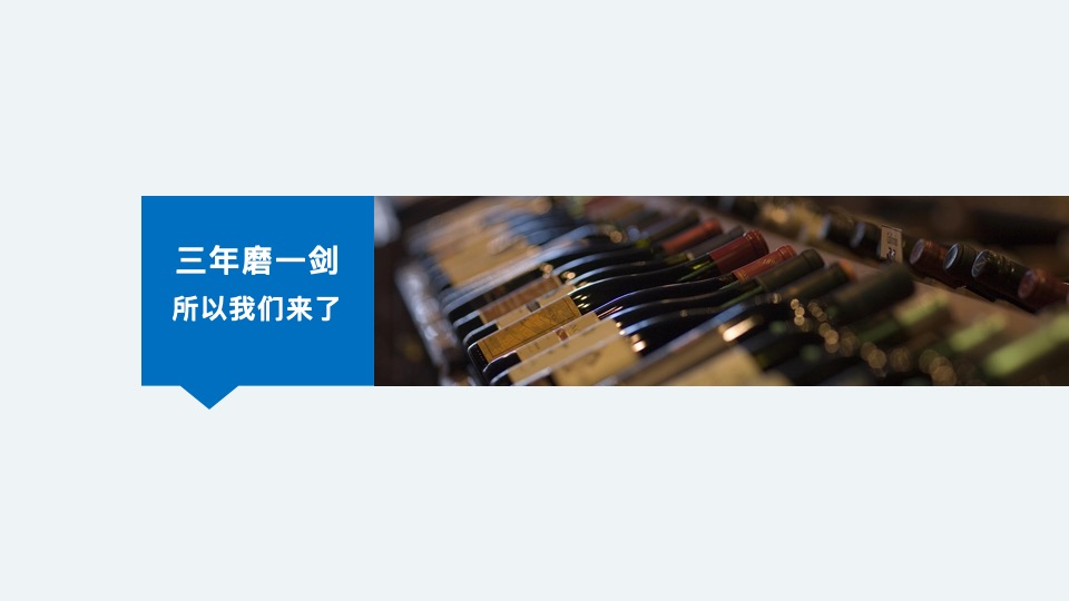 沿海集团博维诺红酒新商业模式构建方案