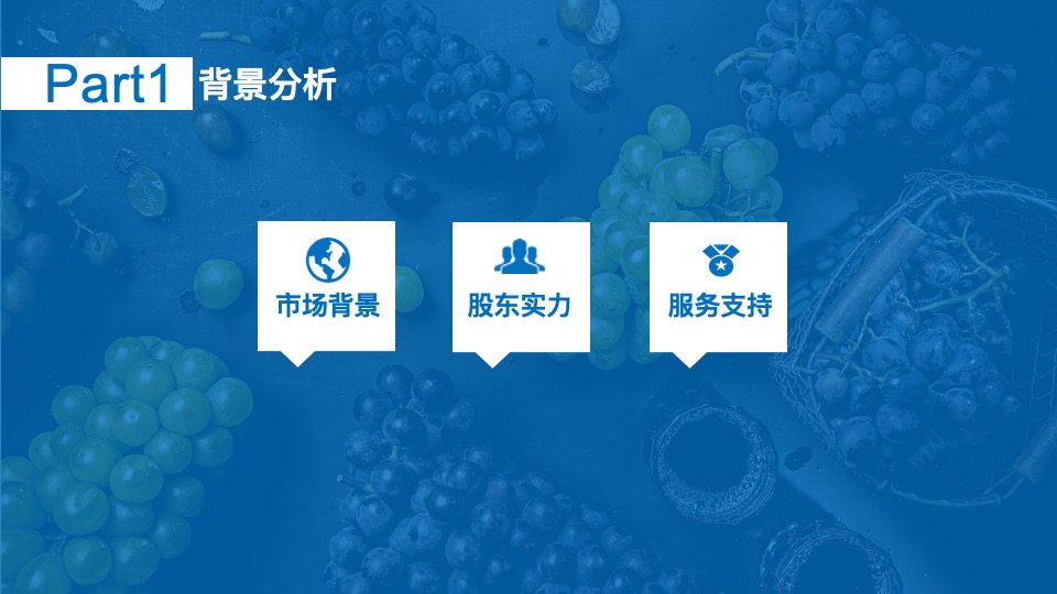 沿海集团博维诺红酒新商业模式构建方案