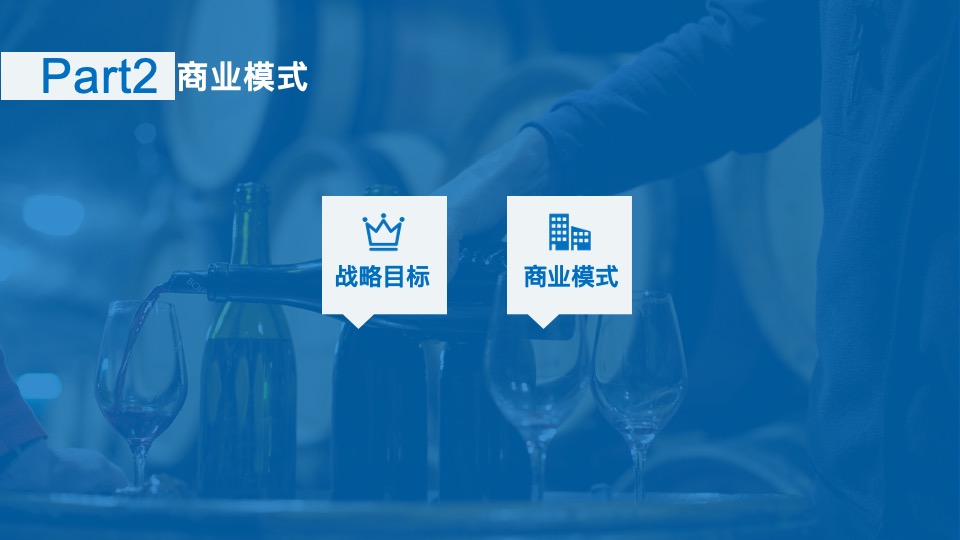 沿海集团博维诺红酒新商业模式构建方案