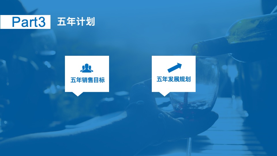 沿海集团博维诺红酒新商业模式构建方案