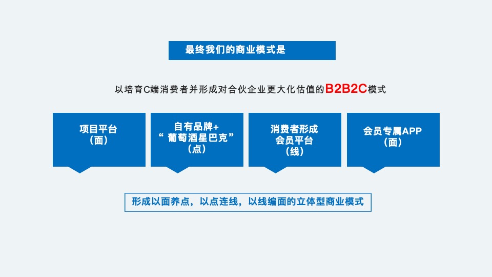 沿海集团博维诺红酒新商业模式构建方案