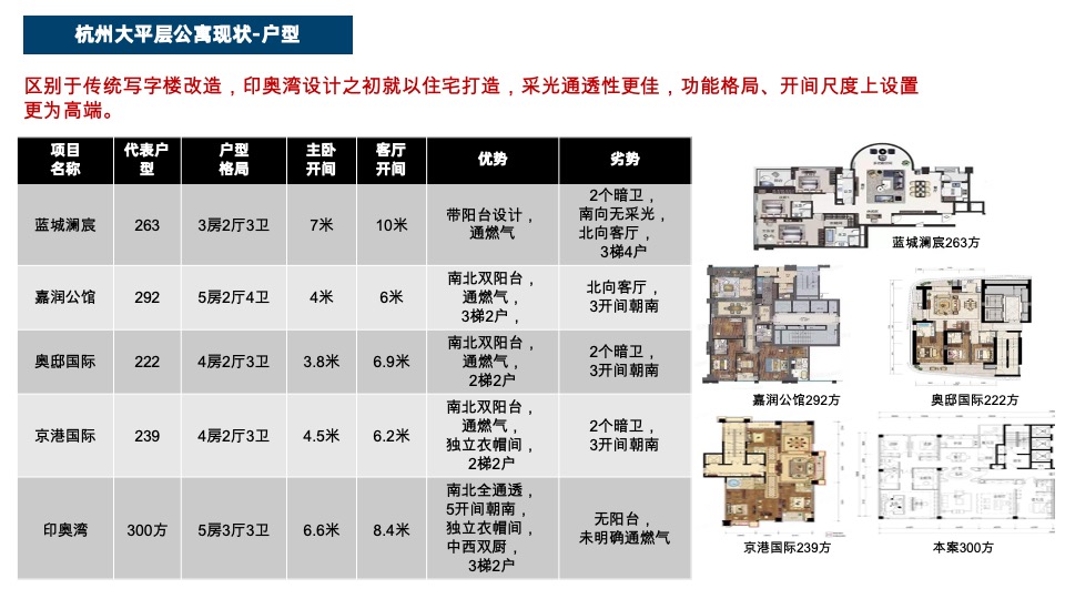 德信·印奥湾推广策略提报#公寓大平层# #300平#