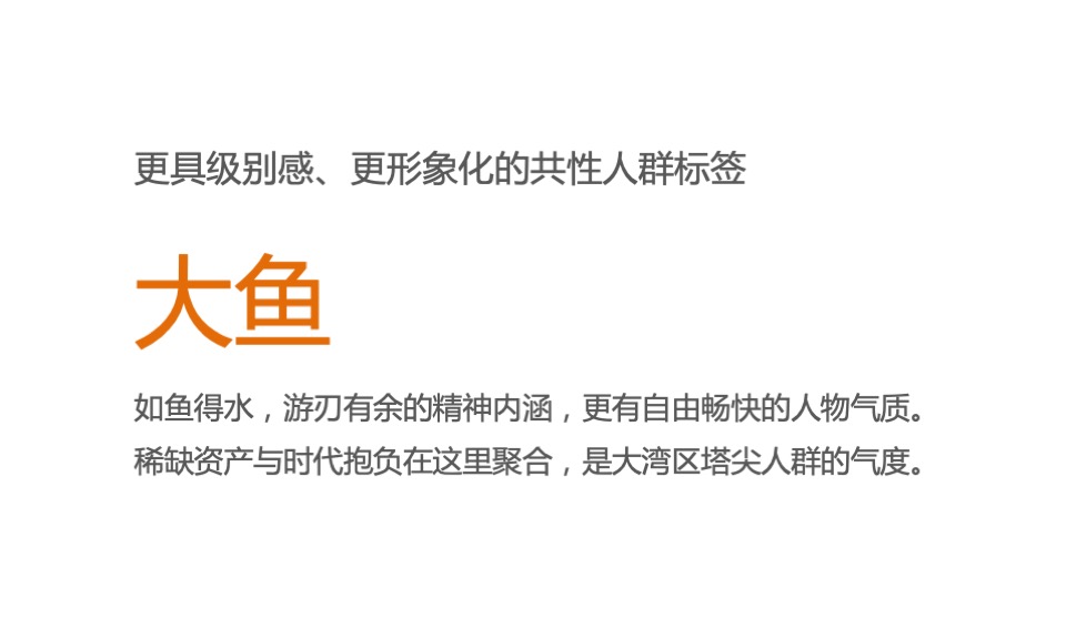 绿城晓风印月推广策略沟通案#商业大平层##商墅#