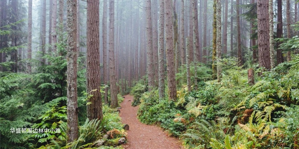 绿城新IP 春风金沙湖湖滨之夜 #好的生活=？# #产品发布#