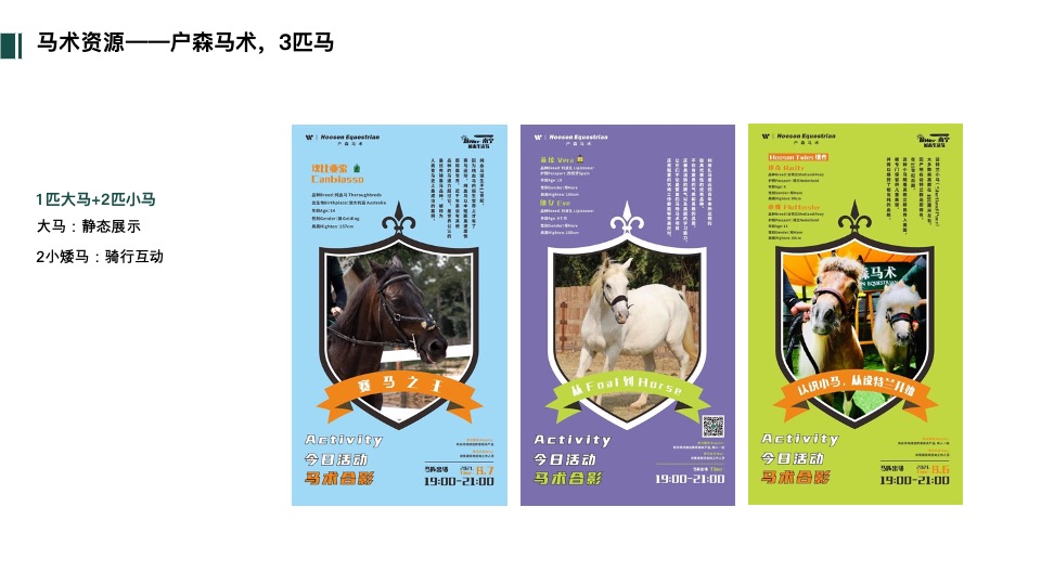 华润西园园林暨样板间开放活动策划案 #马术#