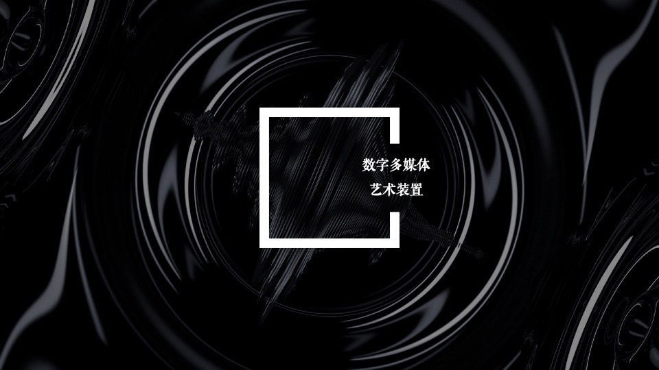 河南保利品牌发布会活动策划案