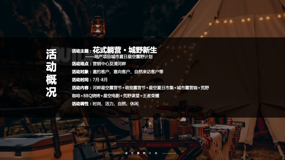 地产项目城市夏日星空露野计划活动策划方案