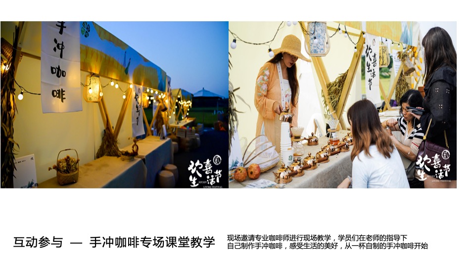 地产项目城市夏日星空露野计划活动策划方案